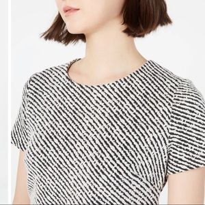 NWT Calvin Klein dress